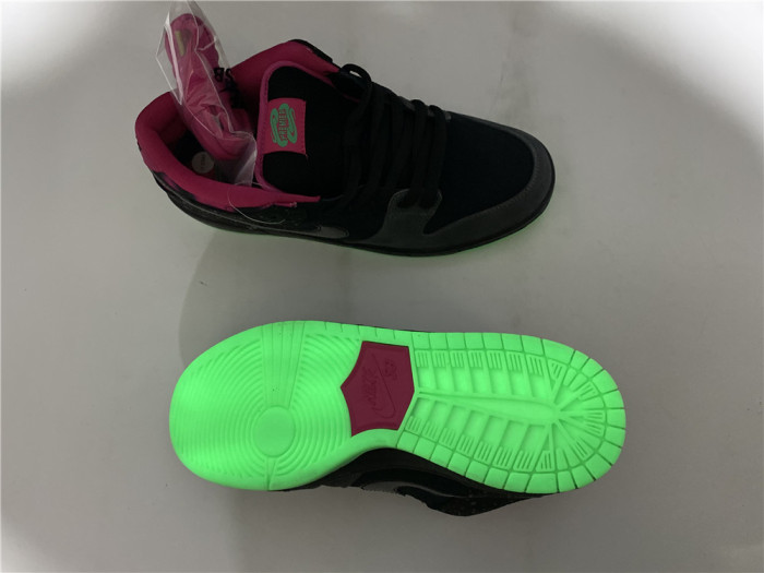 nike dunk sb low premier "N0*Hern lights" - 724183-063