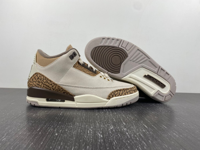 Air Jordan 3 “Palomino” CT8532-102